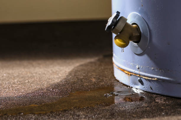 Best Flood damage cleanup  in Clearwater, KS