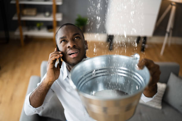 Best Basement water damage restoration  in Clearwater, KS