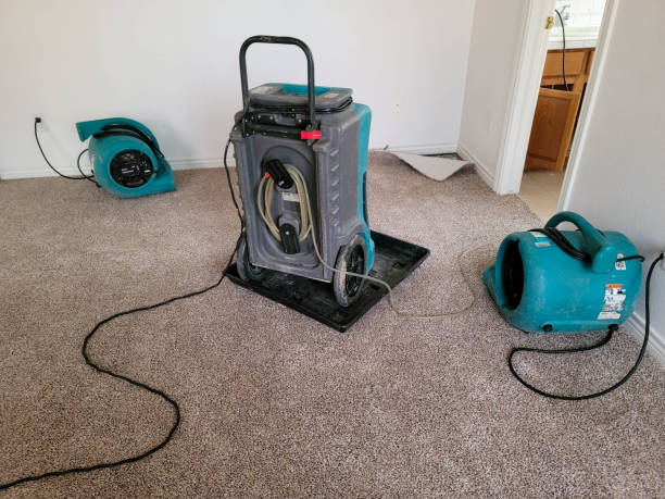 Best Ceiling water damage repair  in Clearwater, KS