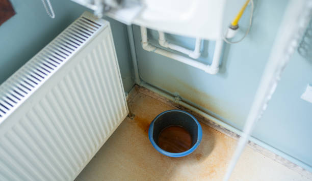 Best Water damage contractors near me  in Clearwater, KS