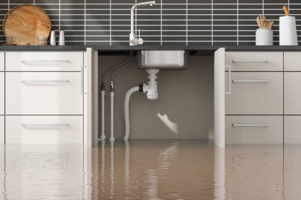 Best Carpet water damage restoration  in Clearwater, KS