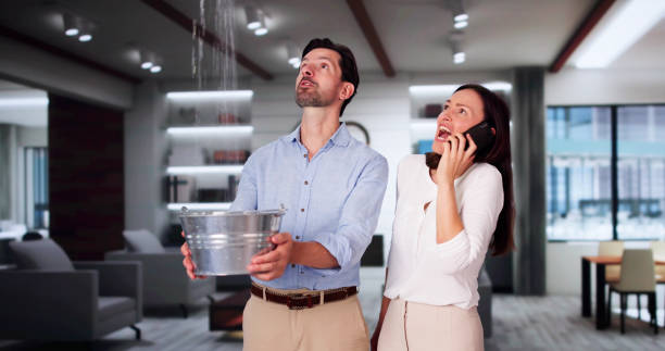 Best Flood restoration services  in Clearwater, KS
