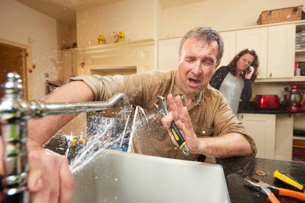 Best Mold removal after water damage  in Clearwater, KS